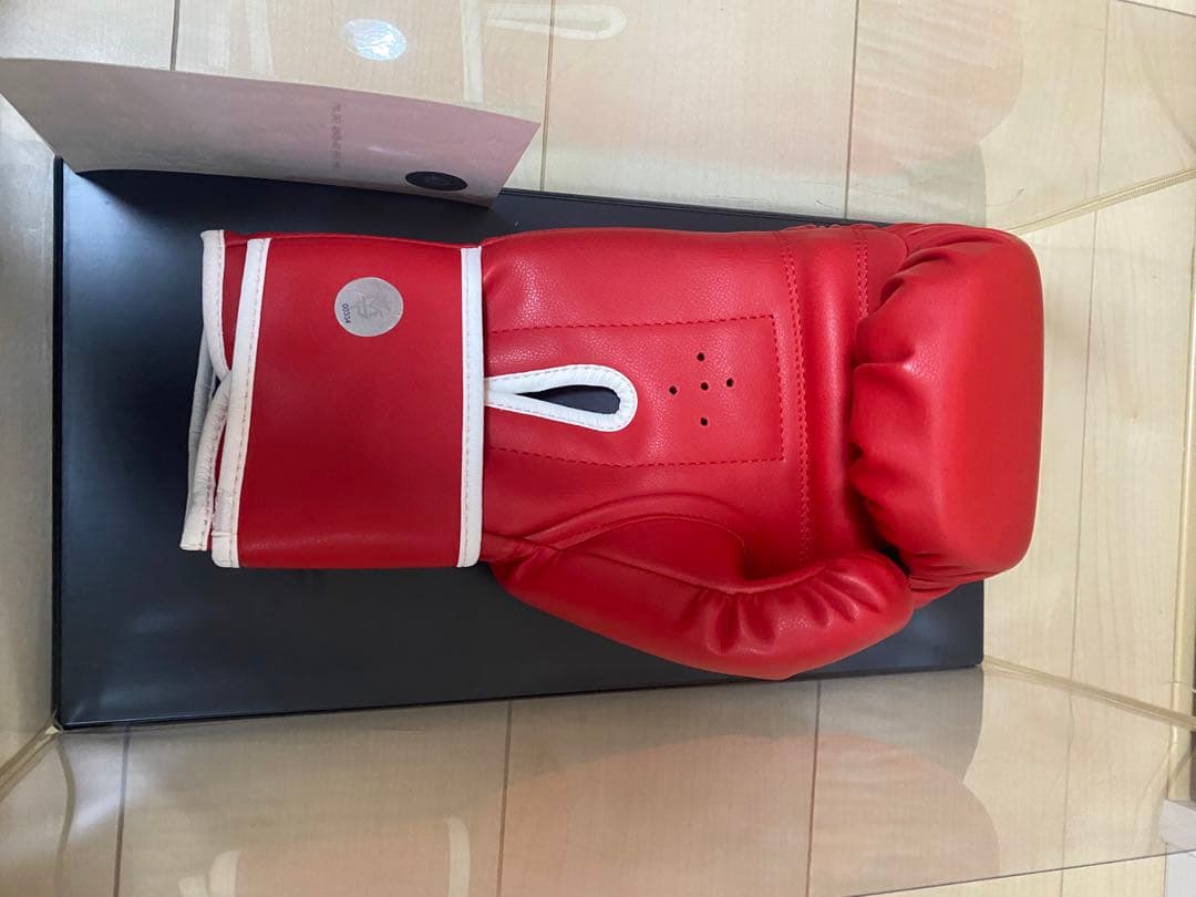 TEAM PACQUIAO サイン入りボクシンググローブ