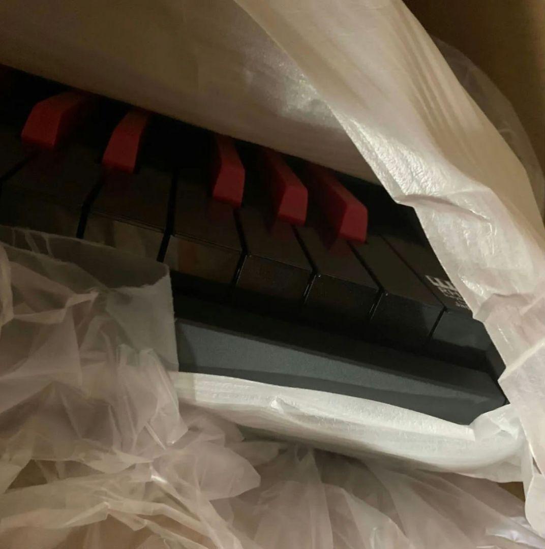未使用 Korg SV-1 88 Black/Red Reverse Keys
