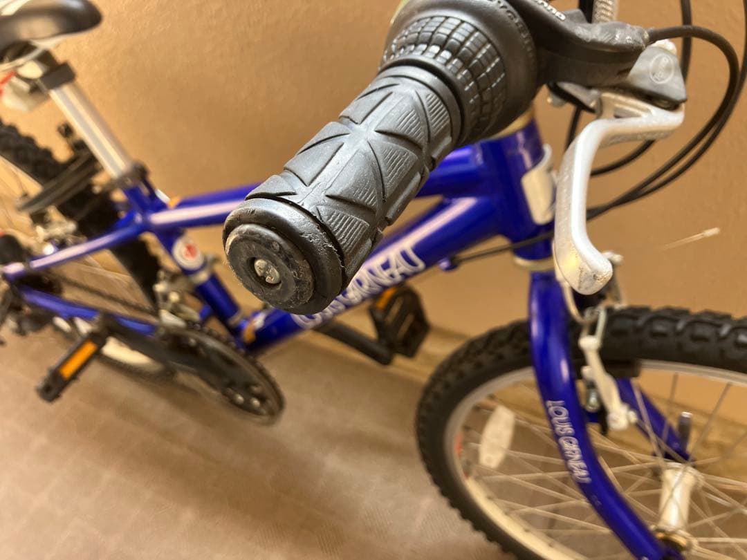 LOUIS GARNEAU 子供用マウンテンバイク 青22インチ京都市