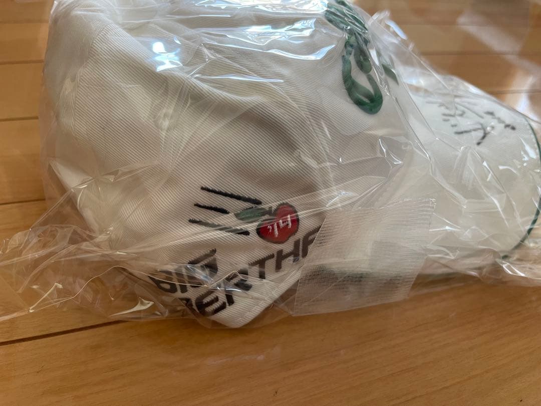 上田桃子プロ 直筆サイン入り キャップ 実使用 チャリティーオークション　ゴルフ