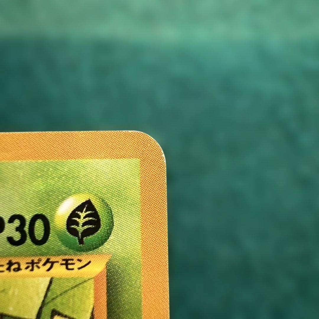 ポケモンカード旧裏　ポケモンカードになったわけ　　おまけカード　ハネッコ