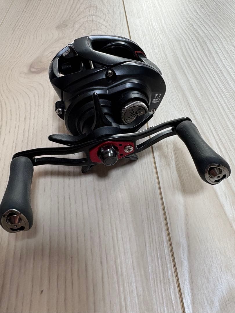 リール DAIWA 19TATULA TW 100SHL