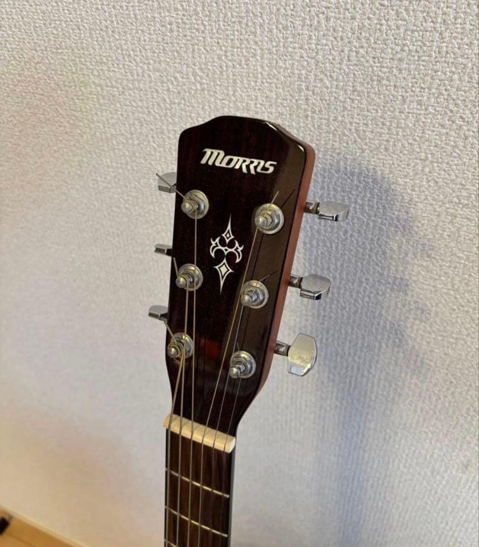 Morris F-351 TS アコースティックギター