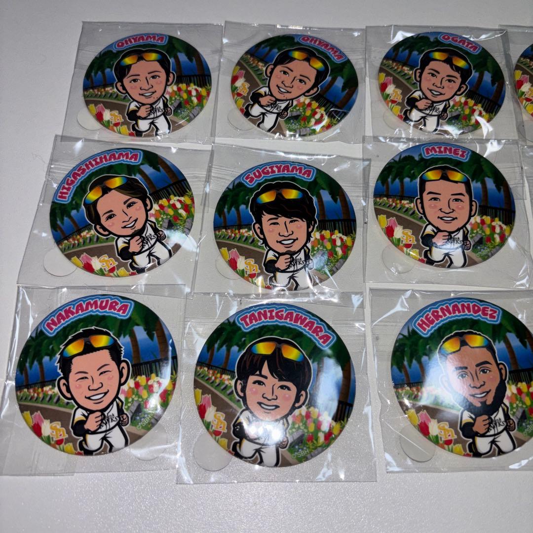 SoftBankHAWKS 若鷹ガチャ 宮崎キャンプ 缶バッジ
