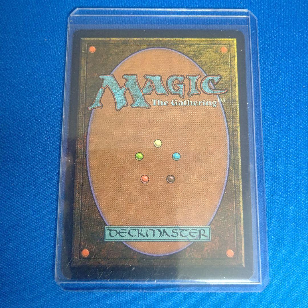 適者生存 MTG