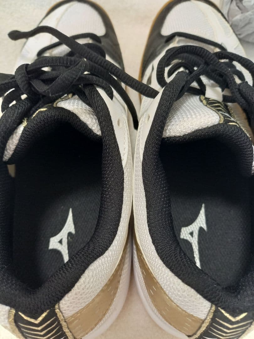 本日価格✨『美品✨』Mizuno バレーボールシューズ 24.5