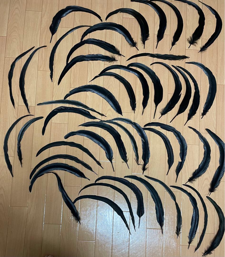 タヒチアンダンス　等　ダンス衣装用羽根（素材）セット　黒　赤　白