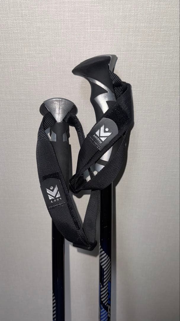 【ケース付き】Dynastar（172cm）＋ DYNASTAR ストック