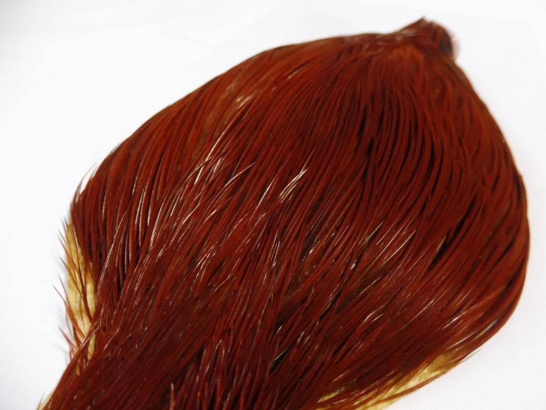 コックハックルケープ WHITING #1 ブラウン