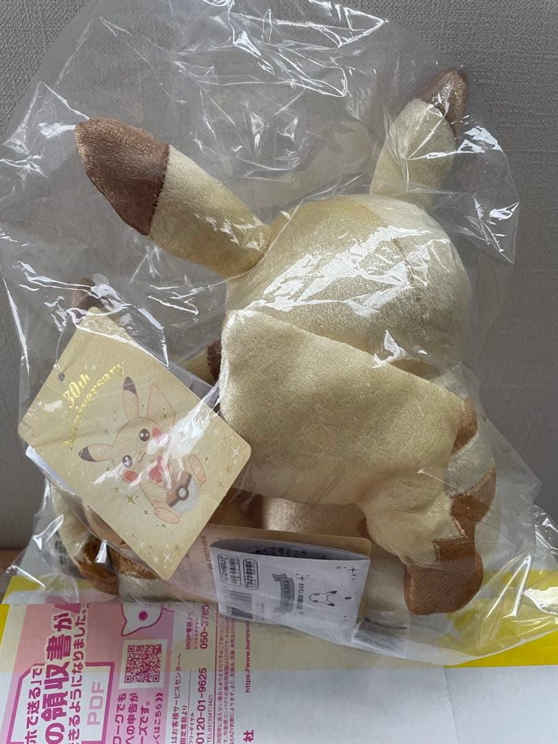 ポケセンオンライン購入 ピカピカ！ピカチュウ30周年セット
