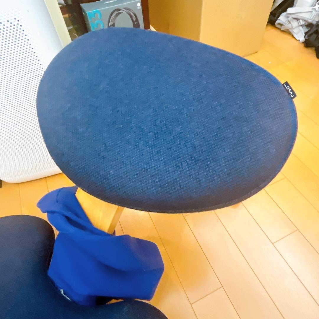 Rybo バランスチェア Balans EASY 姿勢矯正 学習椅子 カバー付き