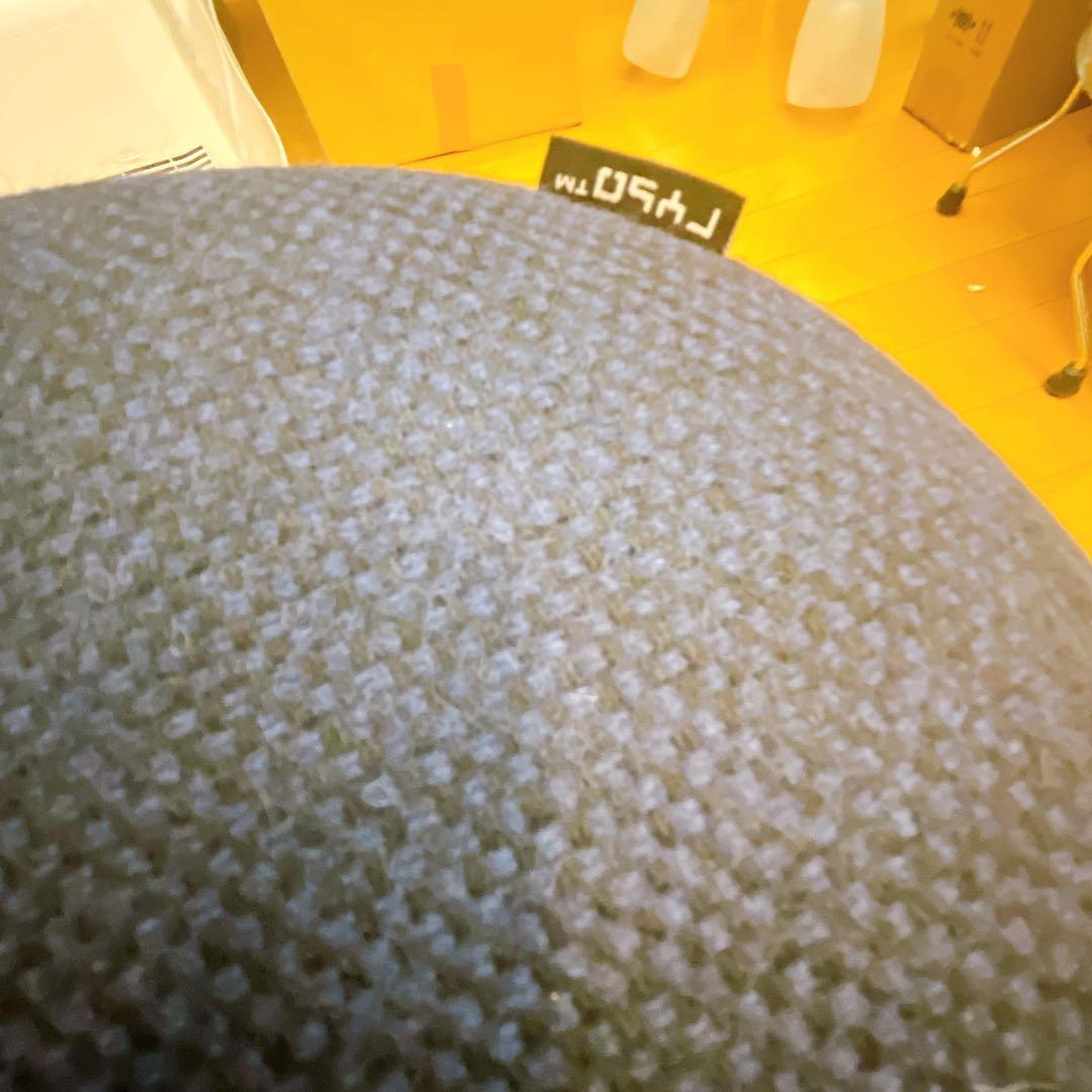 Rybo バランスチェア Balans EASY 姿勢矯正 学習椅子 カバー付き