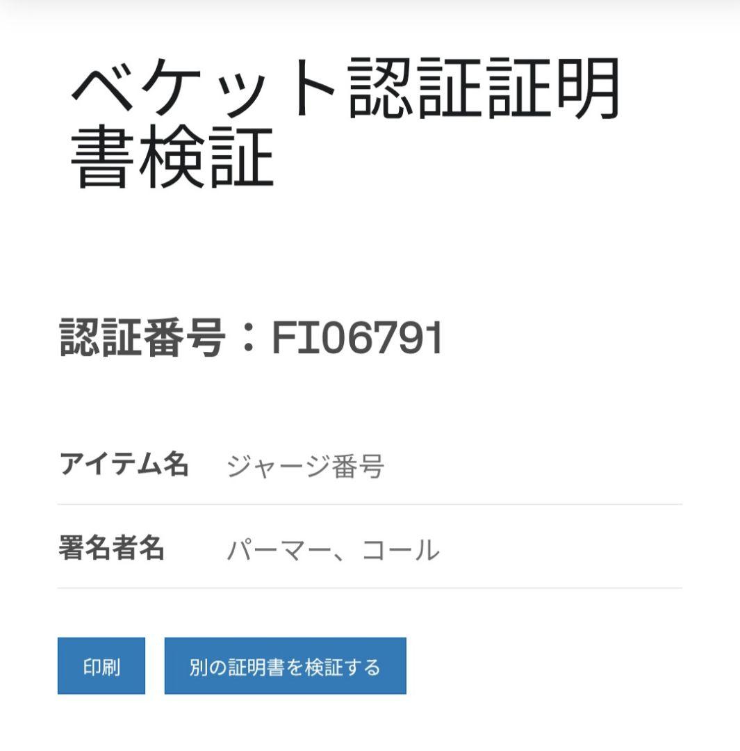 チェルシー パーマー サイン サッカー ユニフォーム 正規品