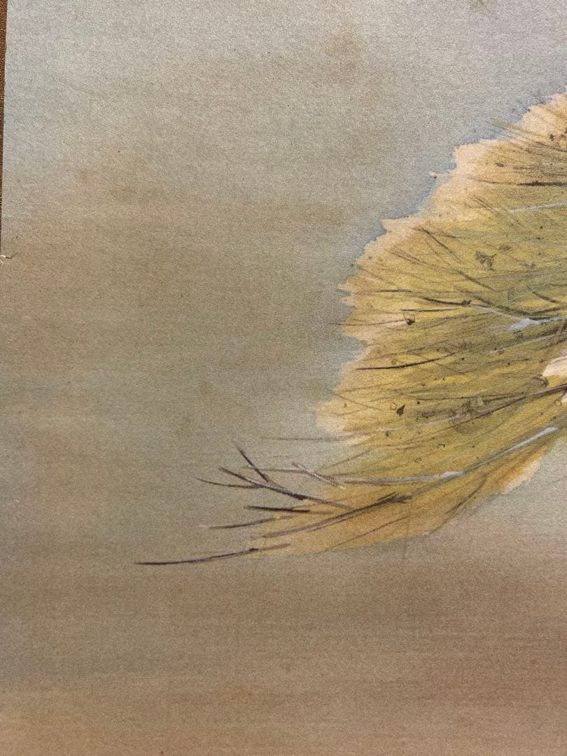 橋本関雪 複製工芸 掛け軸 掛軸 霊鷹 茶掛 絵画 日本画 花鳥図 中国 動物画