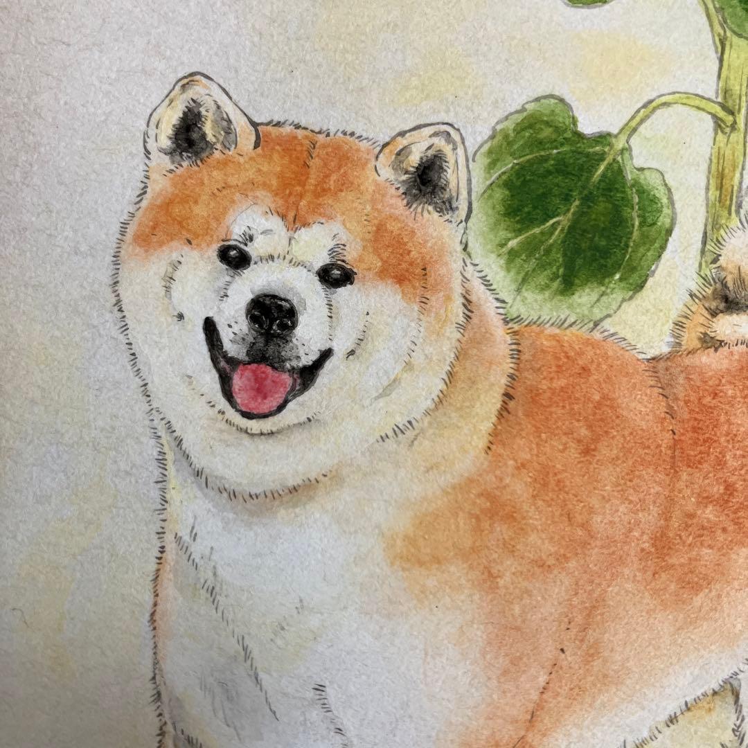 秋田犬　日本犬　夏　ひまわり　日本画　原画　絵画　水干絵具