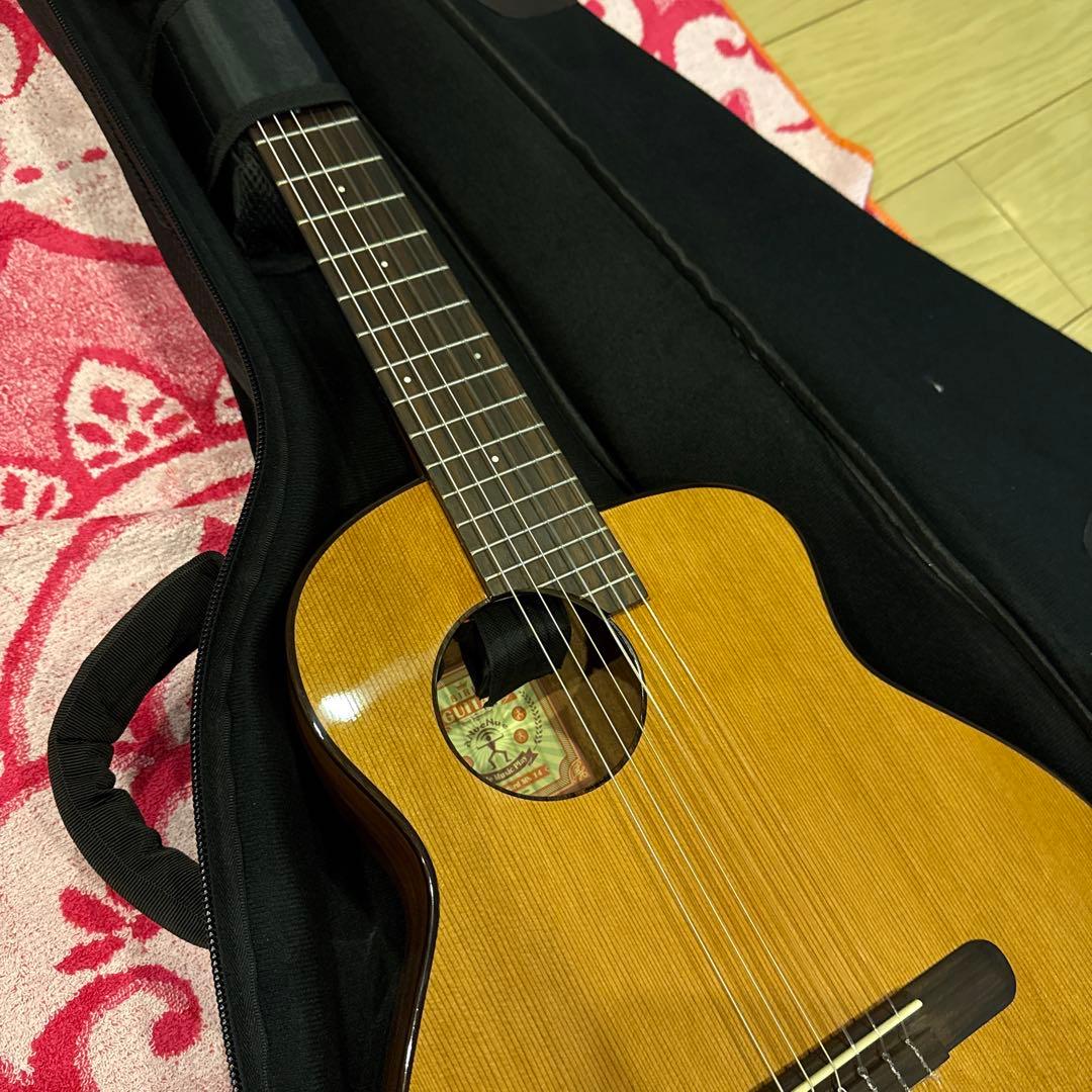 ギター aNueNue/Bird Guitar Series aNN-MN14EF