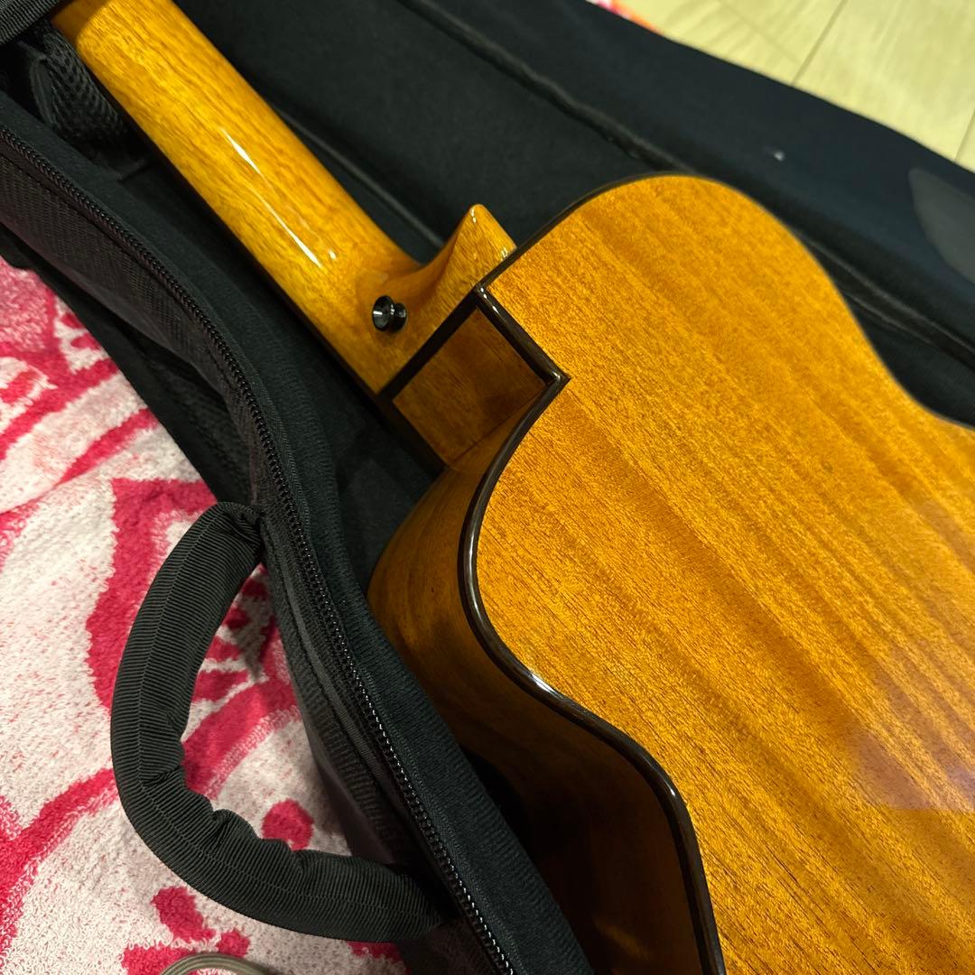 ギター aNueNue/Bird Guitar Series aNN-MN14EF