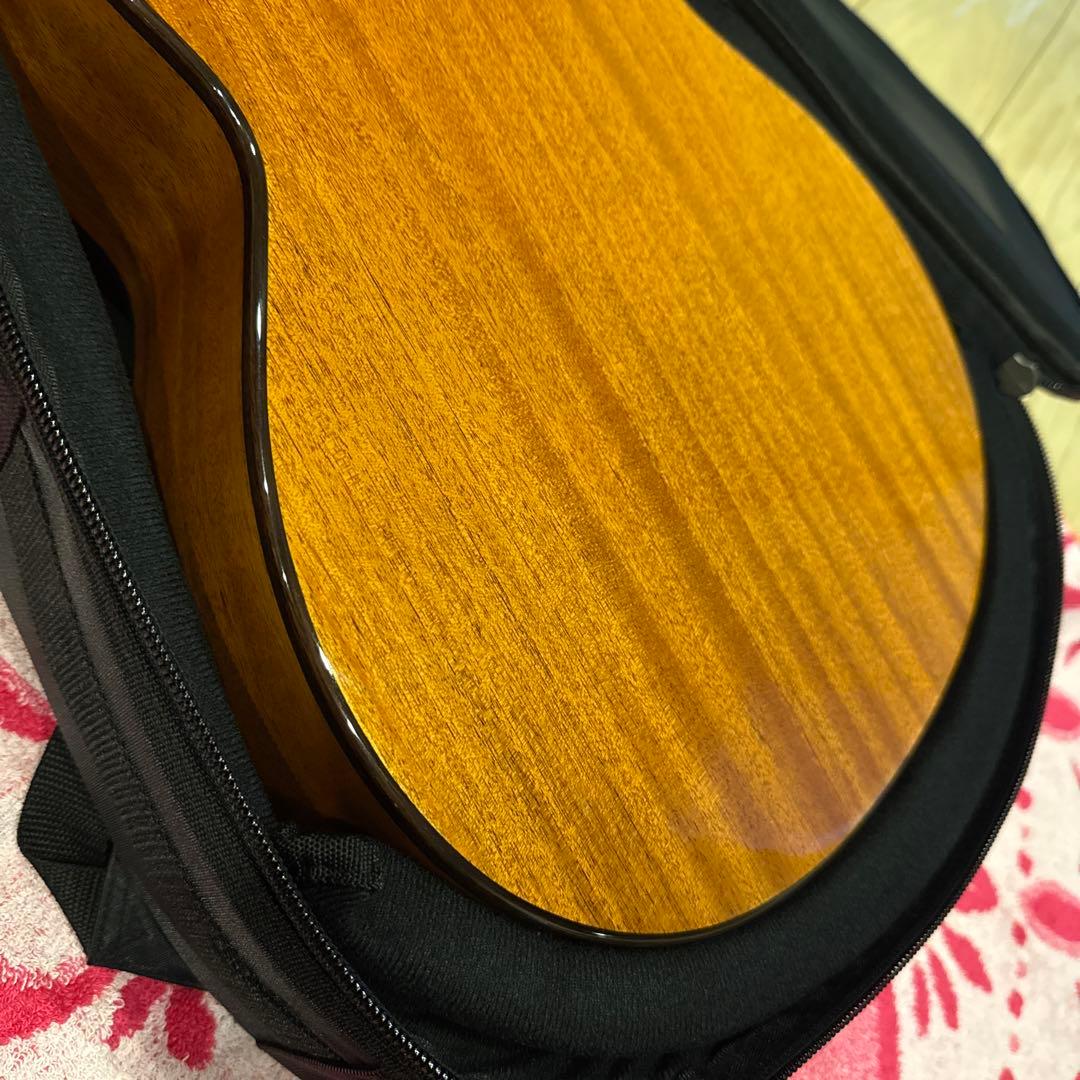 ギター aNueNue/Bird Guitar Series aNN-MN14EF
