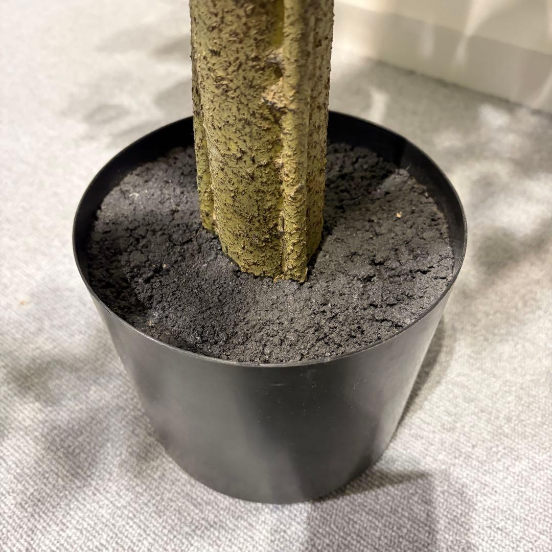 フェイクグリーン　ベンジャミン(フィスカ) 165cm 観葉植物　造花