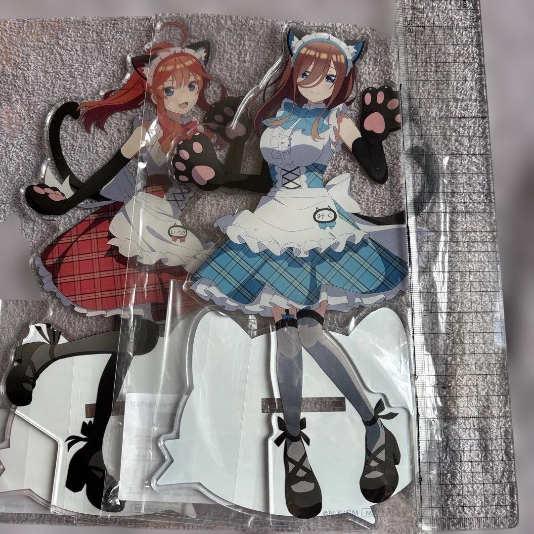 五等分の花嫁　猫耳一花二乃三玖四葉五月　ビッグアクスタ&アクリルパネル