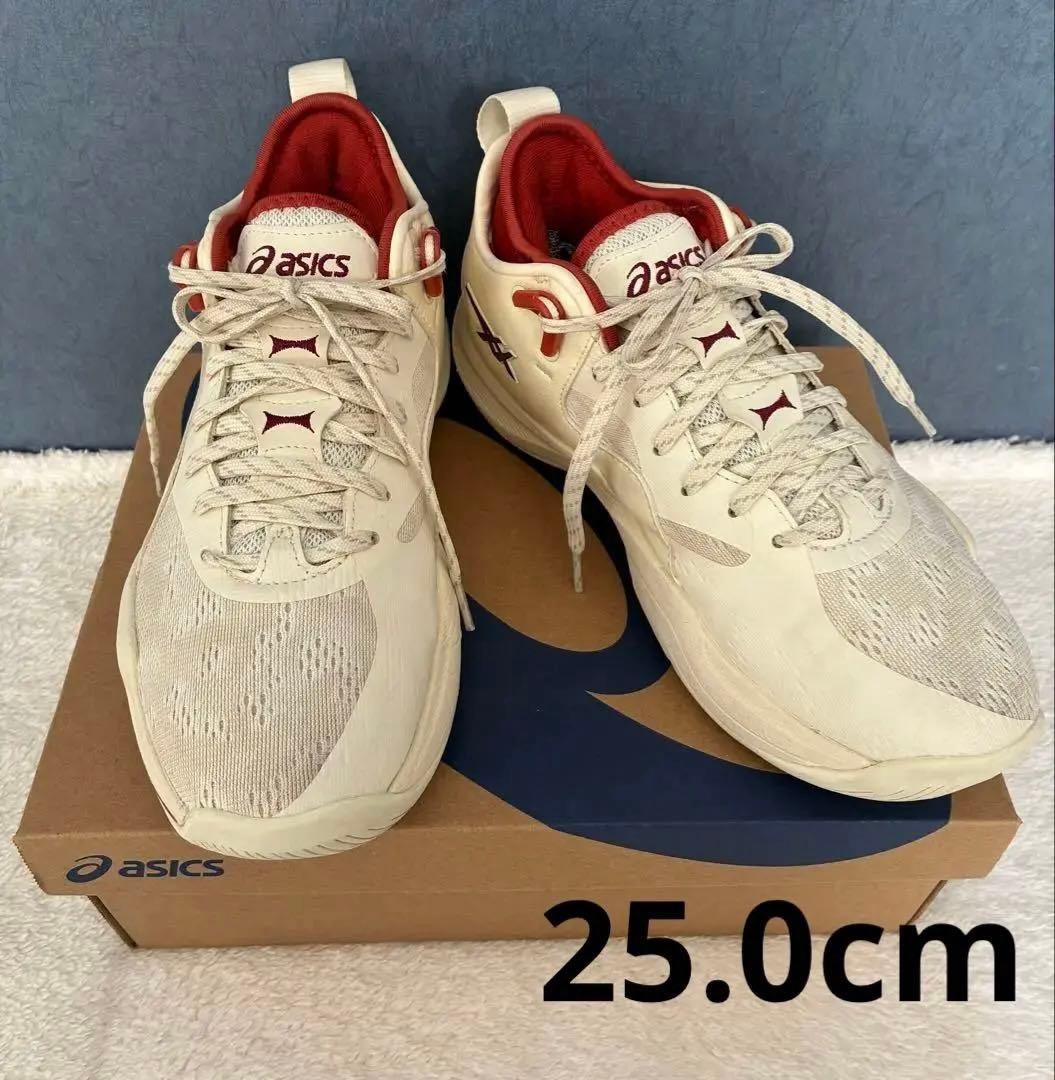 asics バスケットボールシューズ　25.0cm