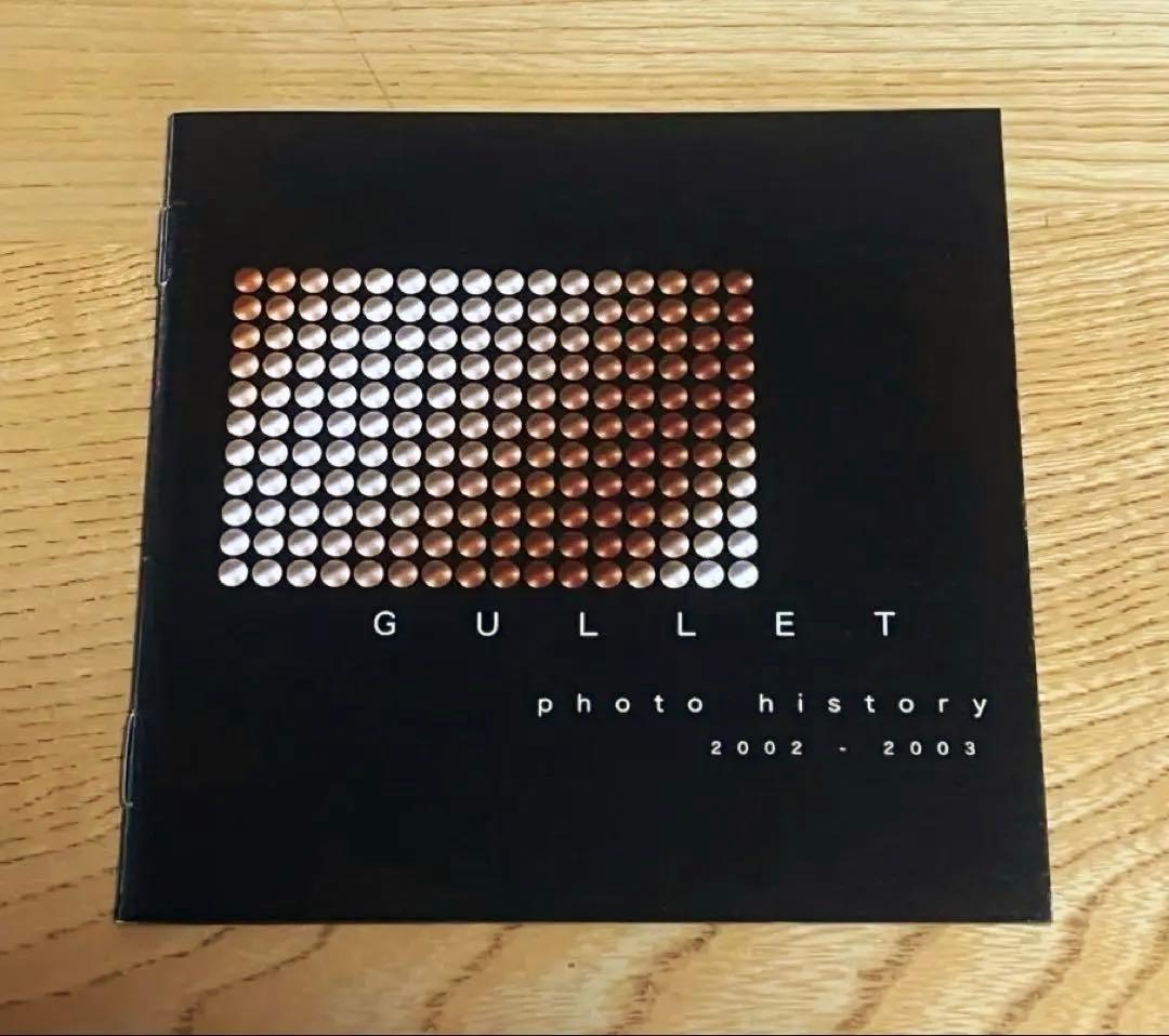 ミュージシャン GULLET photo history 2002-2003