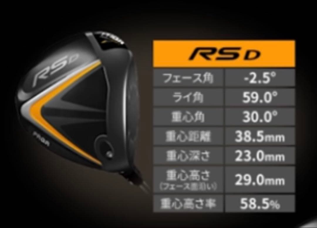 プロギア RS JUST Dタイプドライバー ヘッド 10.5度ヘッドカバー付き