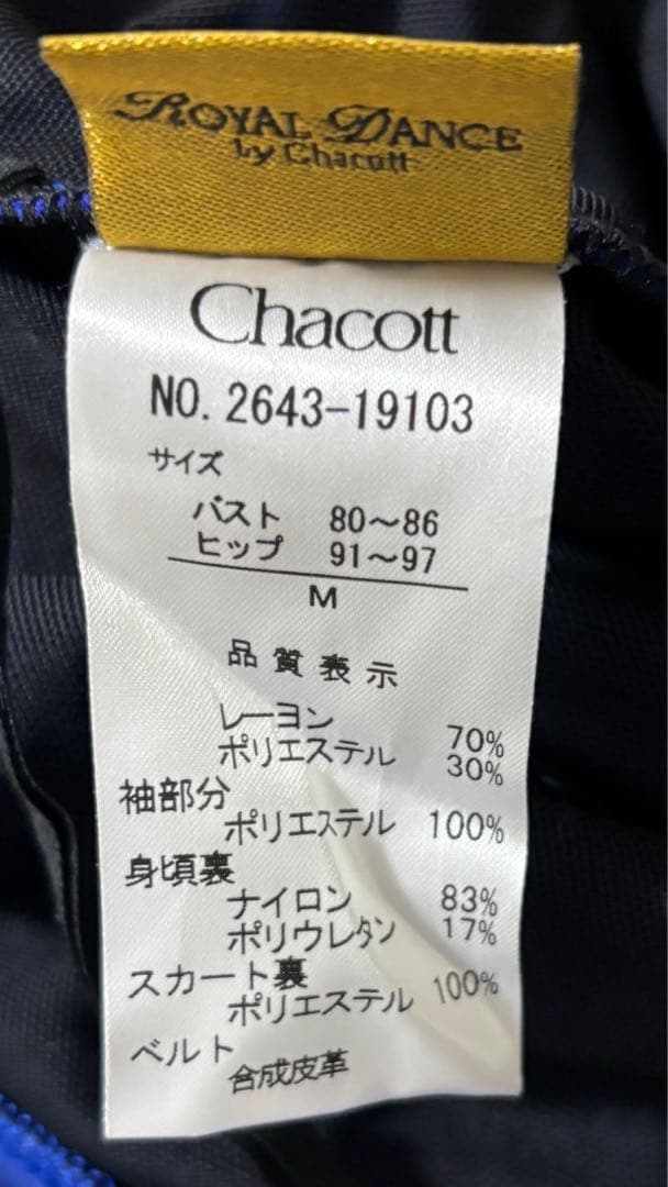【値下げ中】社交ダンス　ドレス　衣装