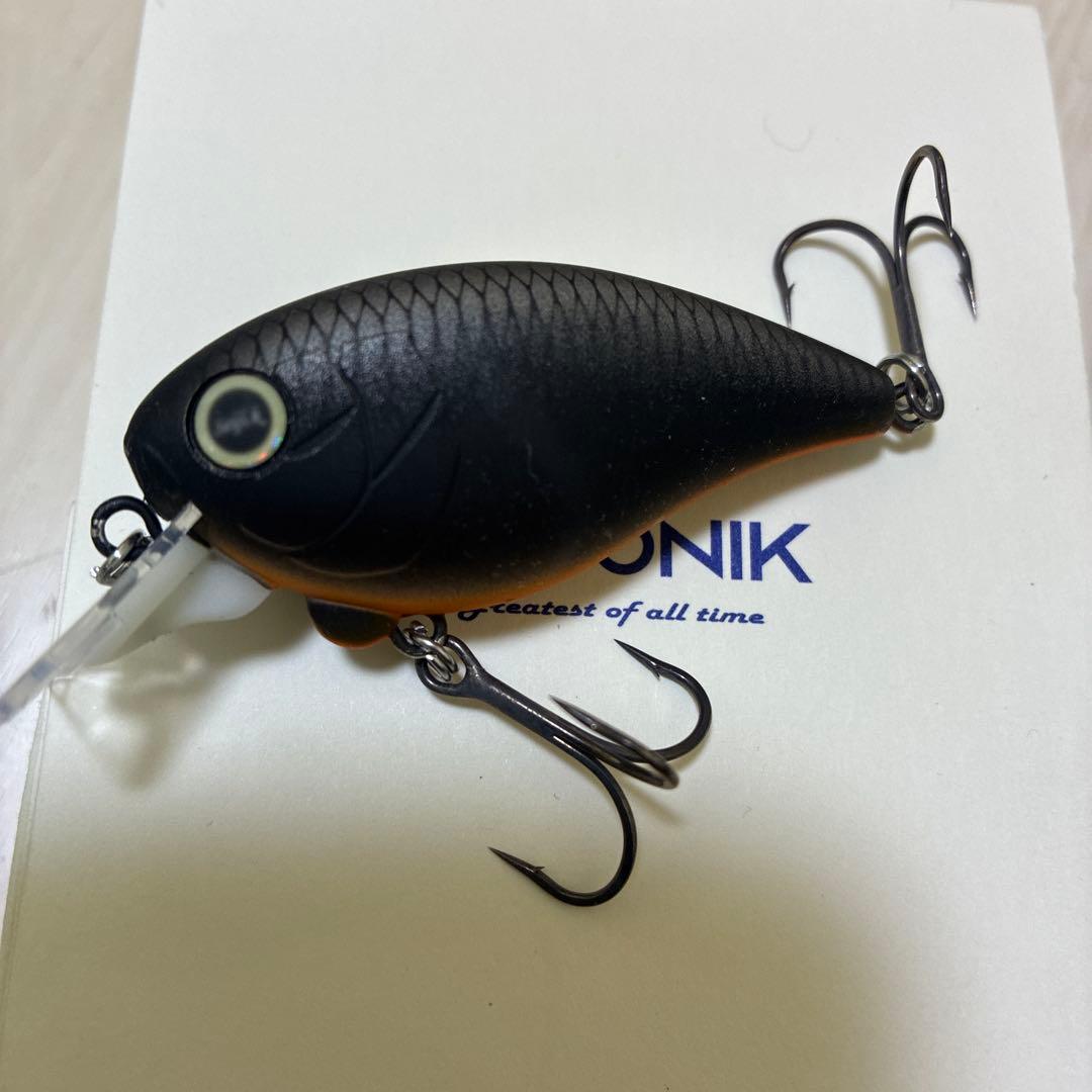 レヴォニック　ドットシックス