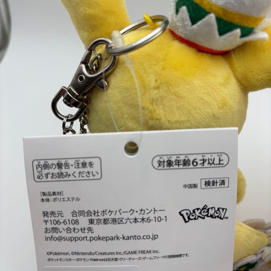ポケパーク限定 カーニバル 花飾り ピカチュウ イーブイ キーホルダー