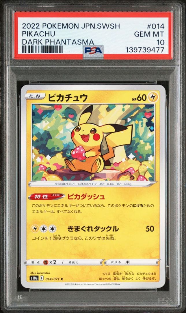 PSA10 ドリームリーグ 014 016 ピカチュウ ダークファンタズマ　2枚