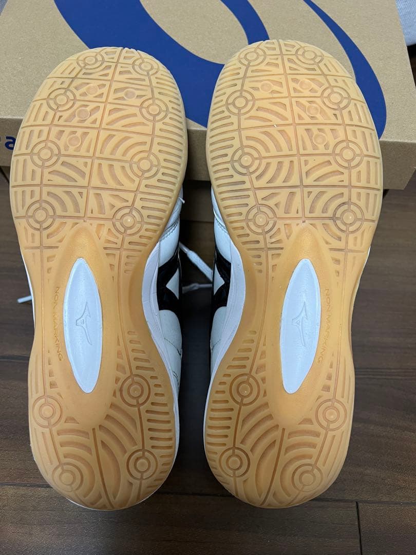 ミズノ モレリア IN 24.0cm 屋内用 フットサルシューズ Morelia
