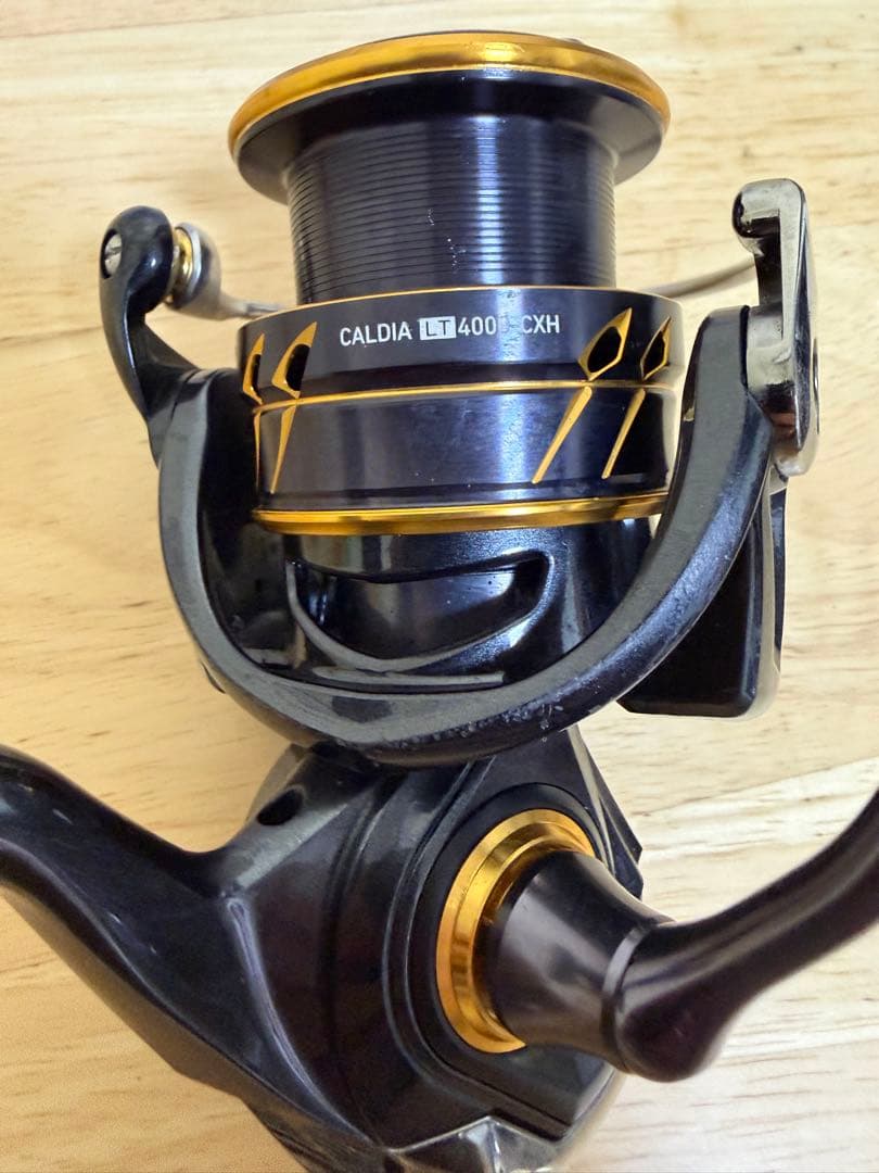 リール CALDIA LT 4000 CXH 21 kazu
