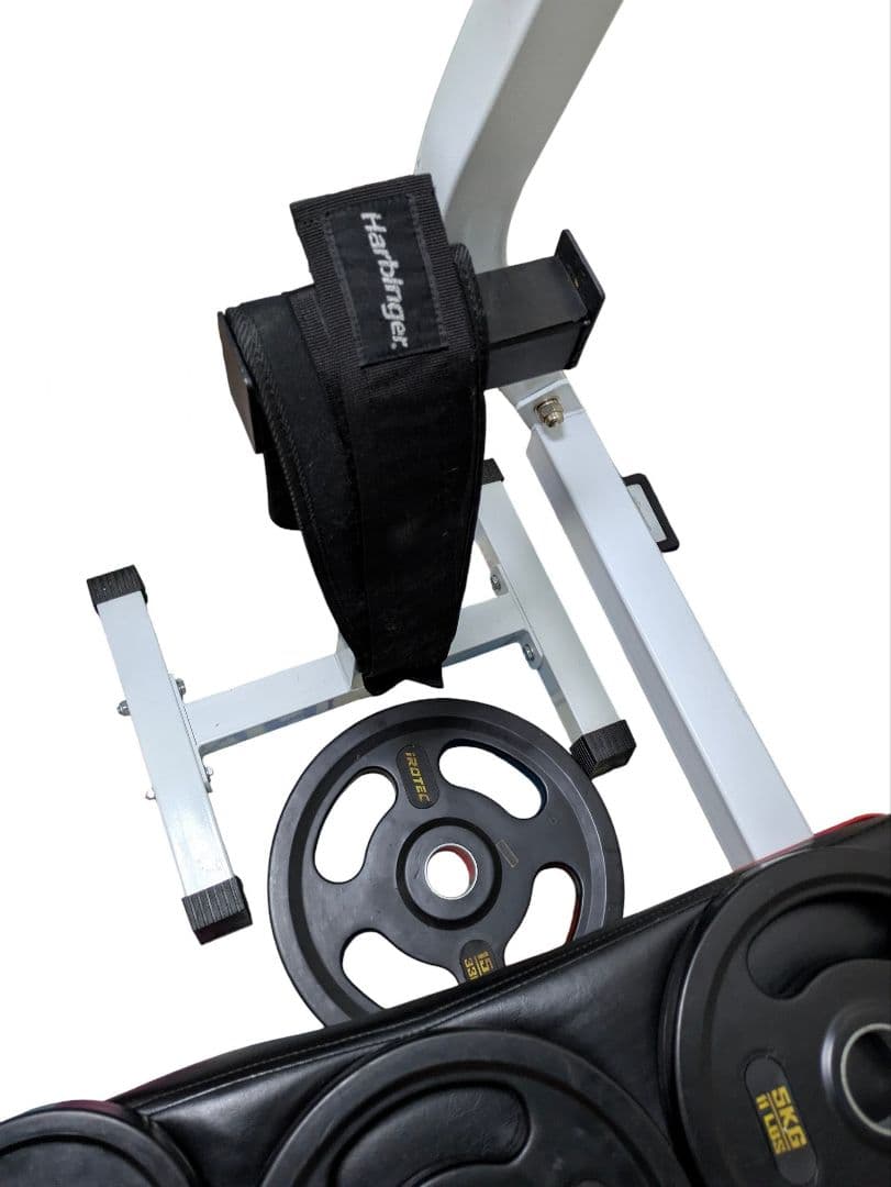 ラバープレート 100kg ベンチプレス セット ホームジム