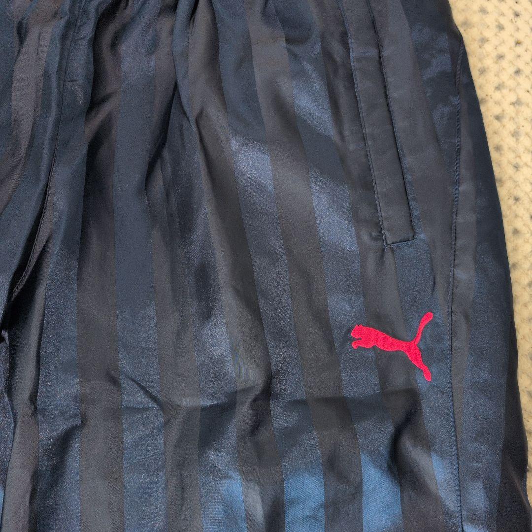 PUMA セレッソ大阪 ピステ セットアップ 支給品 Lサイズ