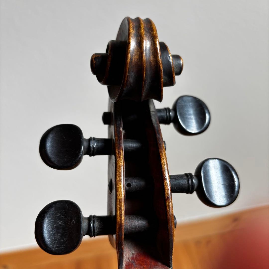 弦楽器 masakichi suzuki no 10