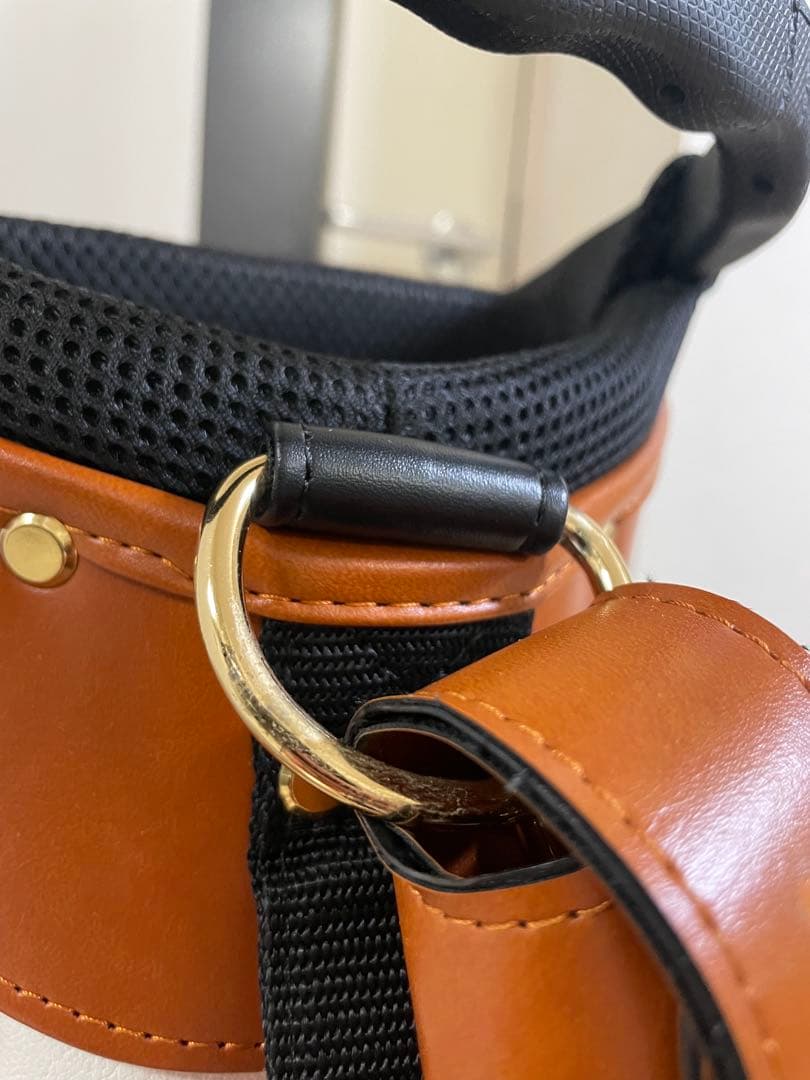 レザレクション パーヴォー スタンドキャディバッグ