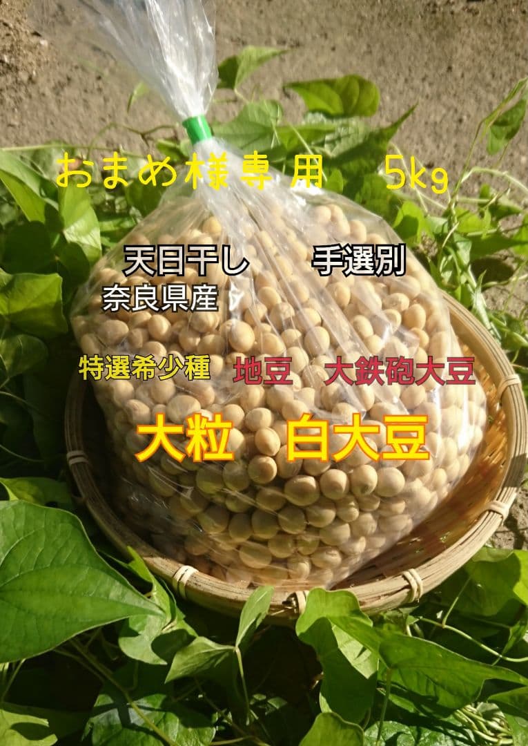 おまめ　特選白大豆5キロ
