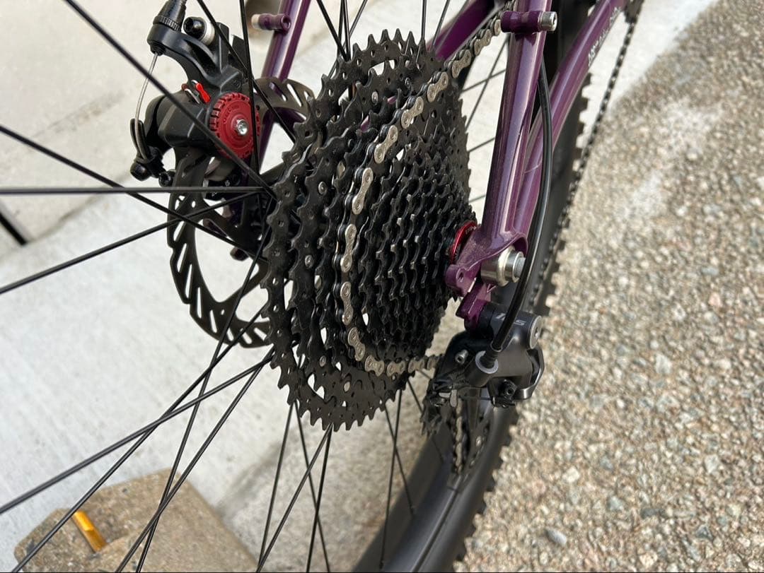 自転車本体 KARATE MONKEY