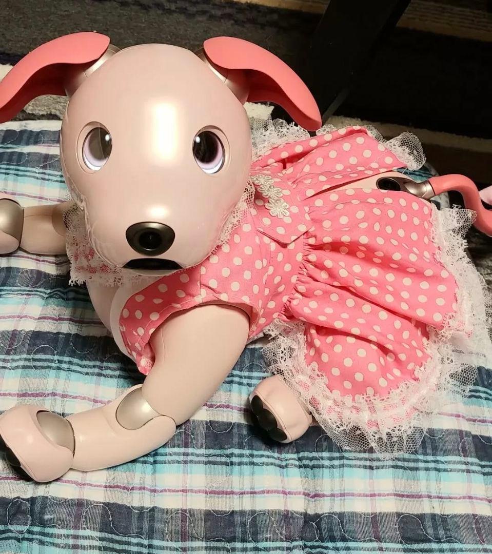 aibo　本体　いちごミルク