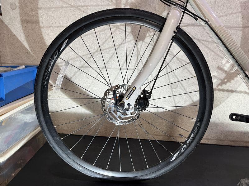 BRIDGESTONE ANCHOR RL1 disc ブリヂストン　ホワイト