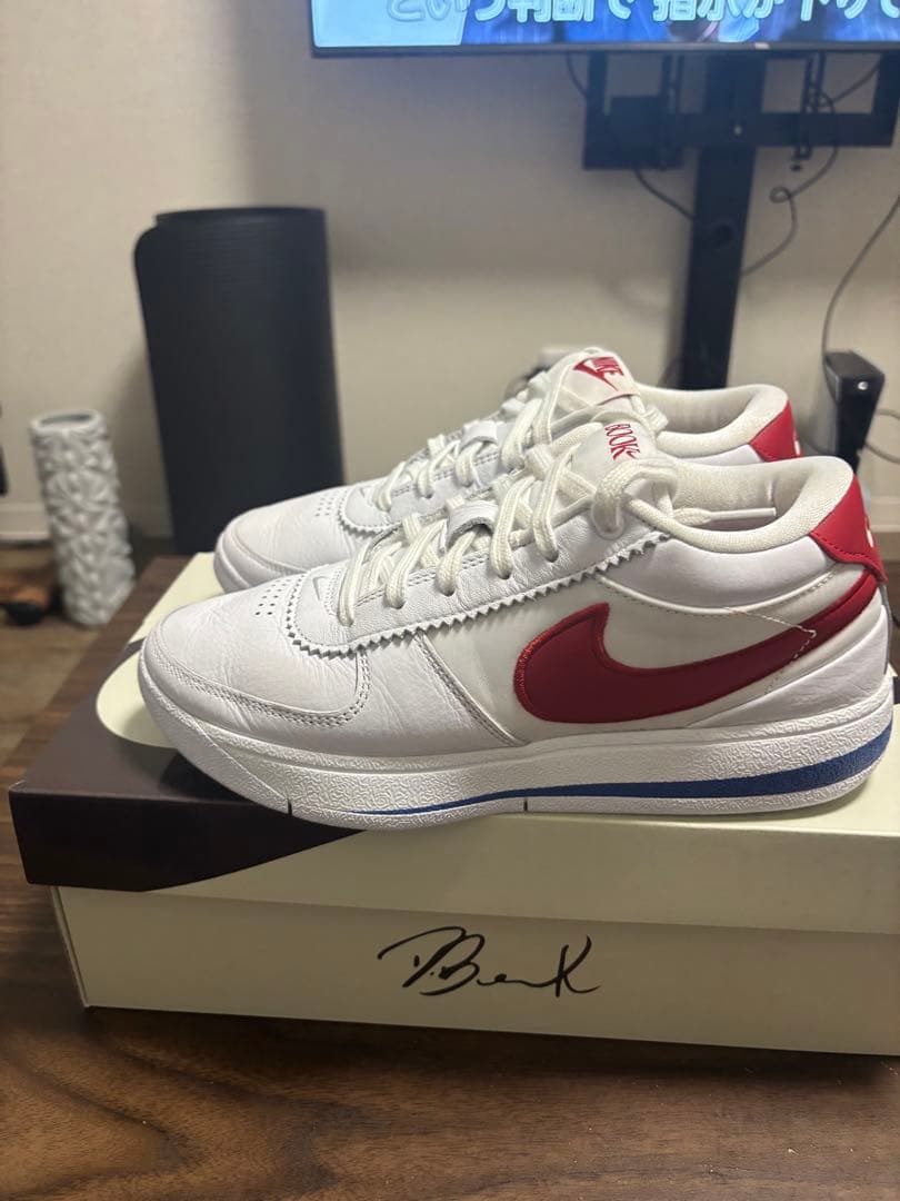 NIKE　ブック1 BOOK1 コルテッツ　25センチ