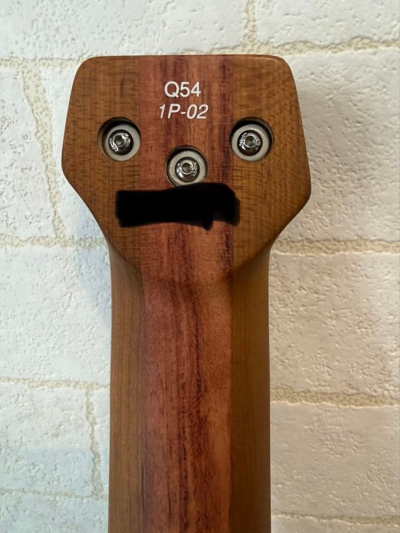 Ibanez Q541P-02 フラットワウンド弦対応