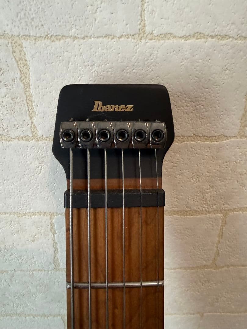 Ibanez Q541P-02 フラットワウンド弦対応