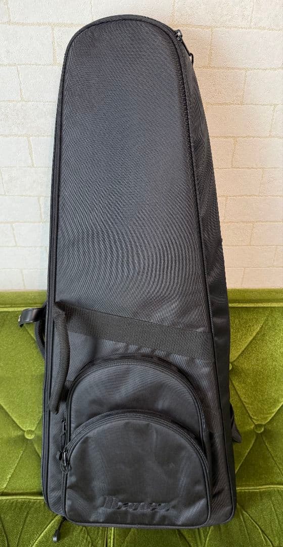 Ibanez Q541P-02 フラットワウンド弦対応