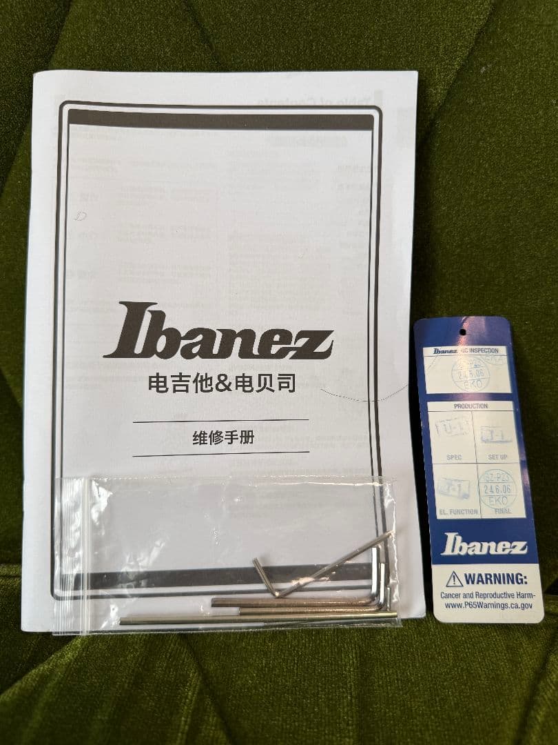 Ibanez Q541P-02 フラットワウンド弦対応