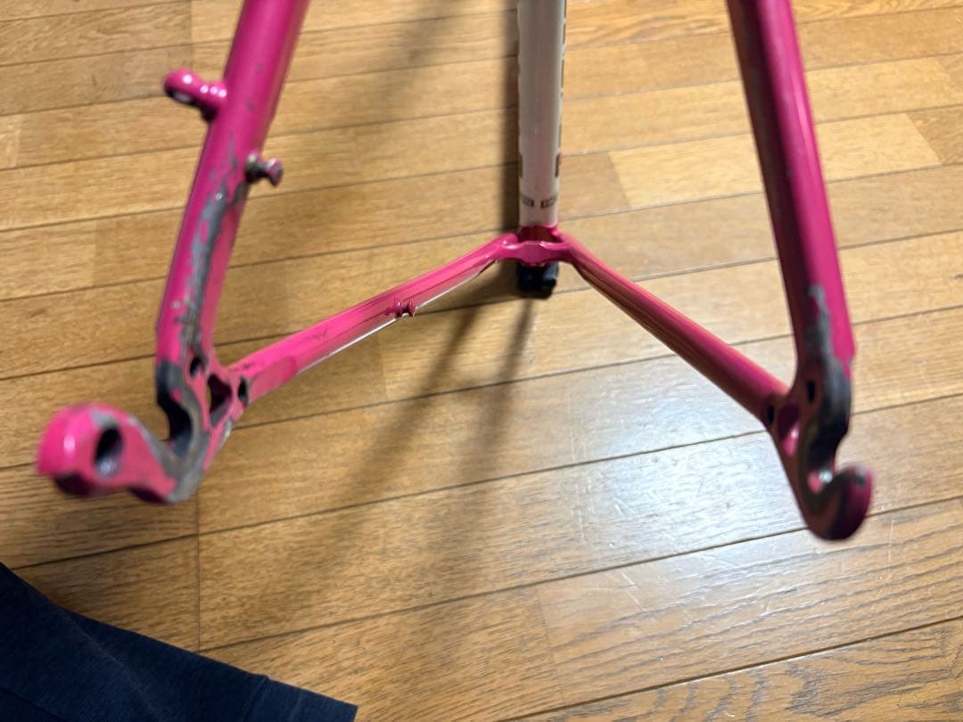 Nakagawa Prominence(ナカガワ) ロードバイクフレーム