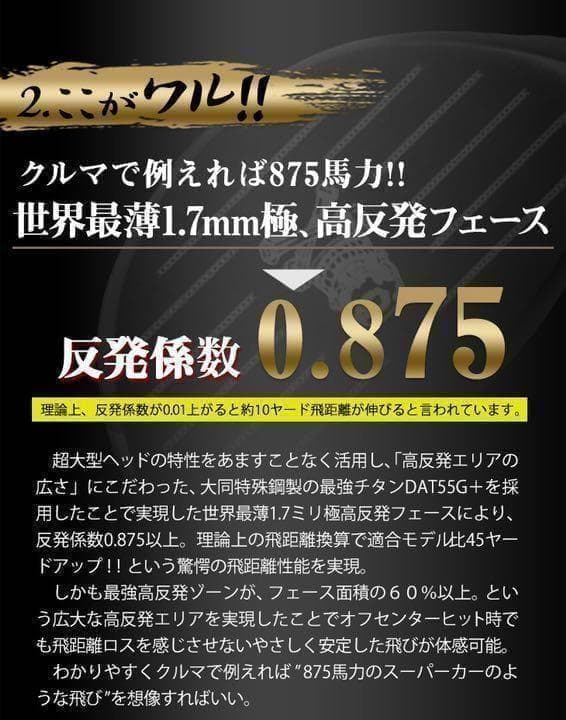 ヘッド単品： ドクロ輝くワル専用! 最強超高反発で＋45Y! ダイナゴルフ 悪童