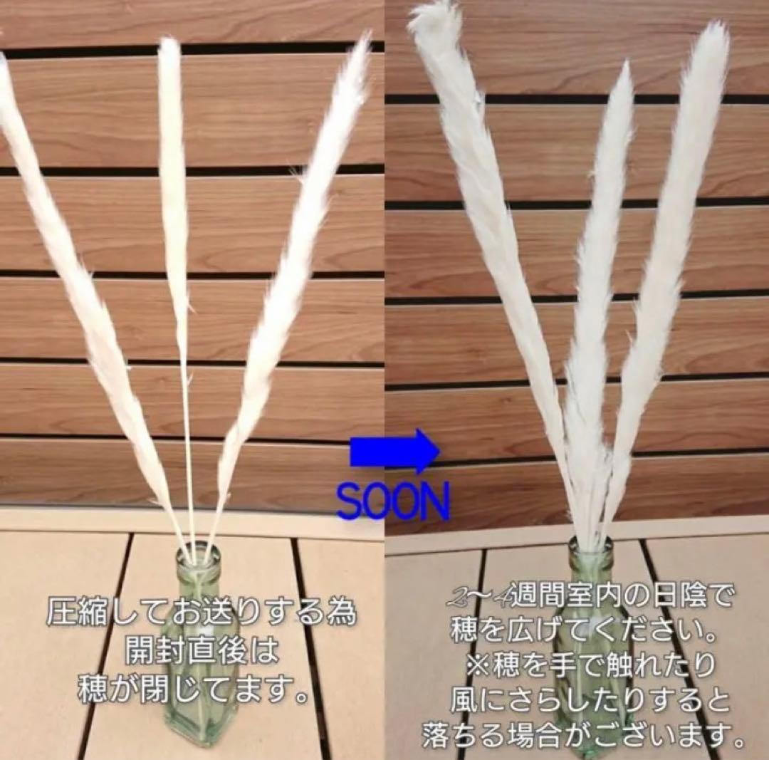 ウェディング　ウェルカムスペース　ティファニーブルー　まとめ売り