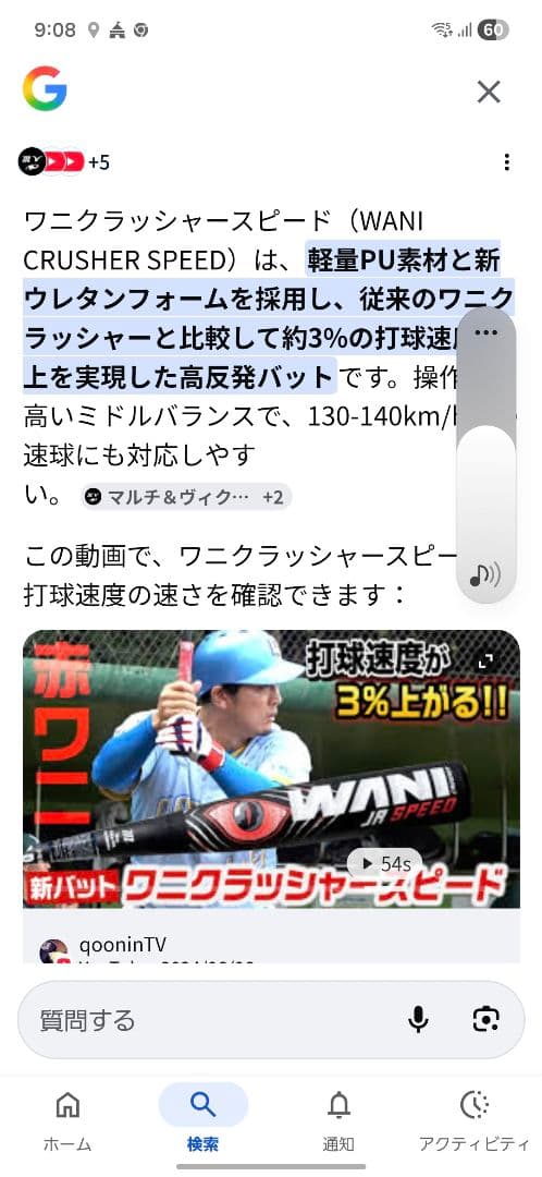 WANI SPEED 軟式バット 83cm